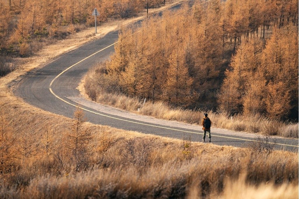 Back view of a young man hiking outdoors