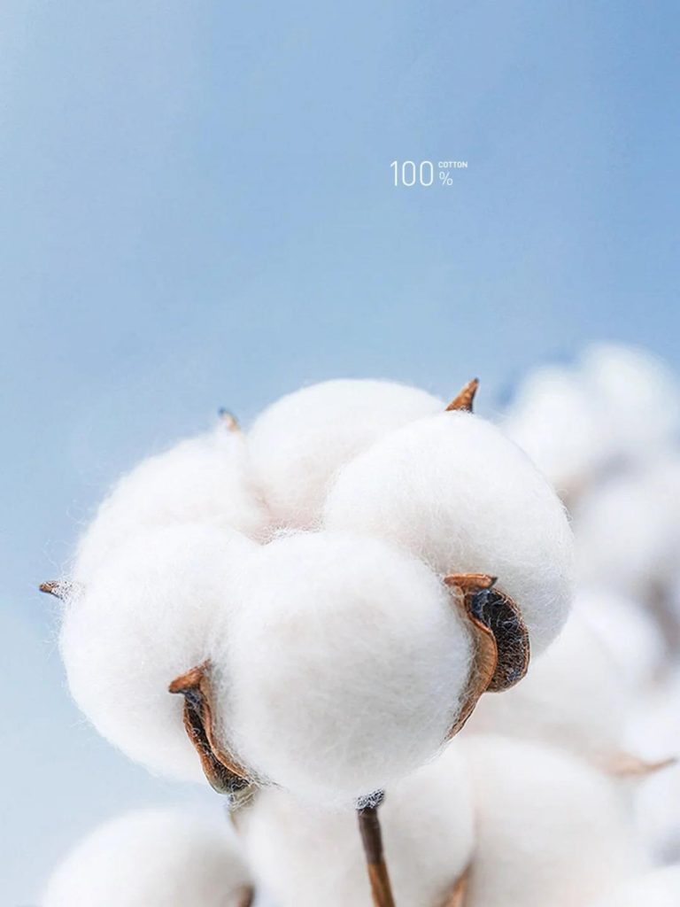 Merino-wool-and-cotton_Cotton